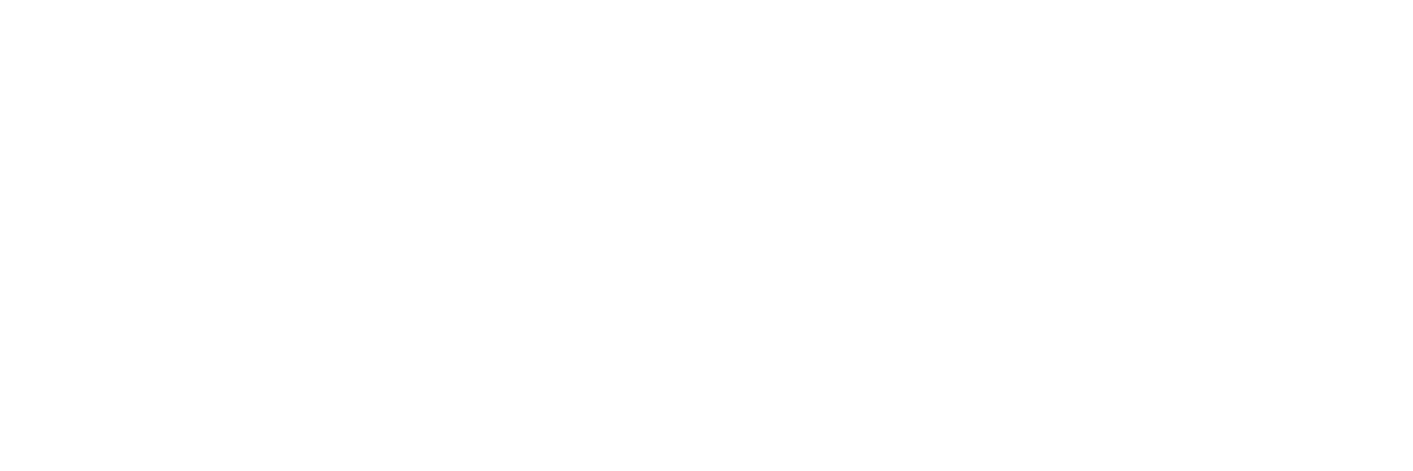 Netflix RePLAY Logo Horizontal