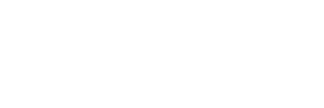 Netflix Virtuals horizontal logo