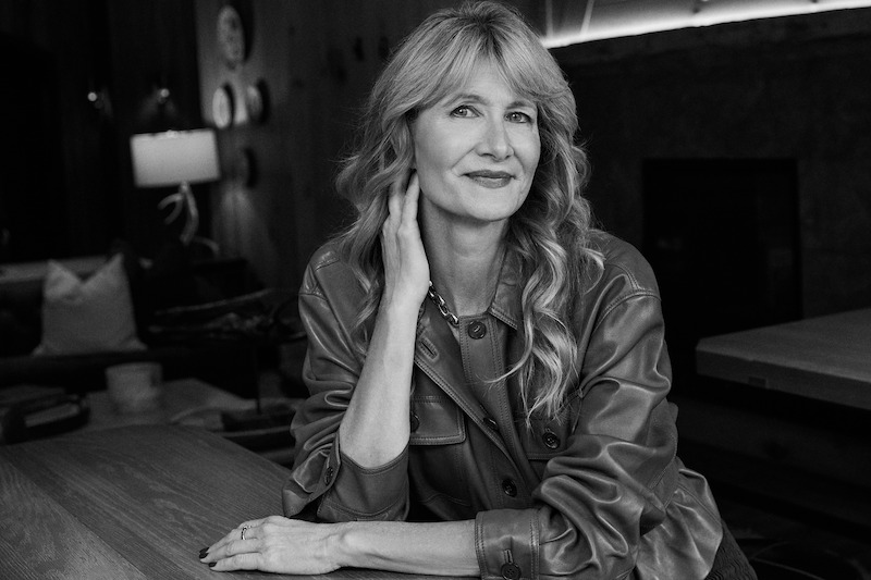 Laura Dern sits at a table.