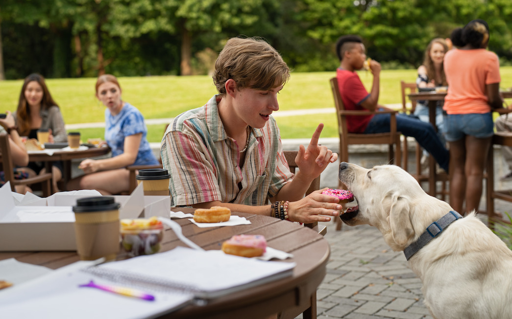 dog-gone-meet-the-cast-of-the-movie-netflix-tudum