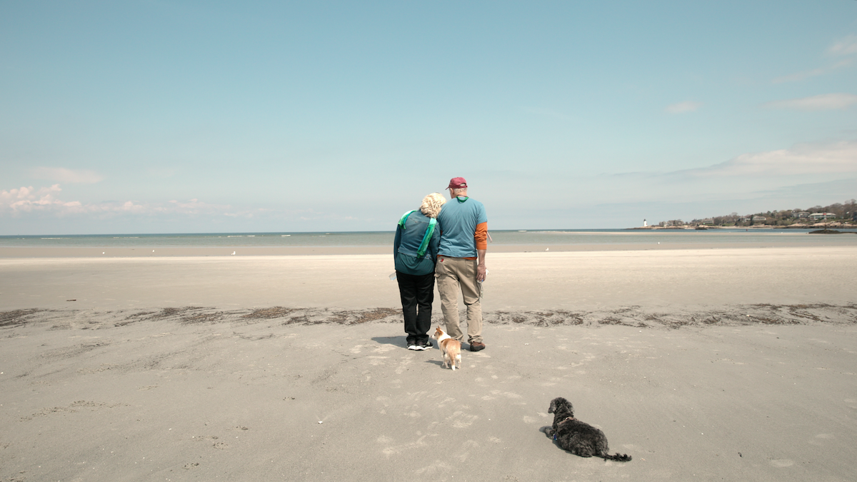 Cathy Terkanian and Edward Terkanian standing on the beach with their dogs.