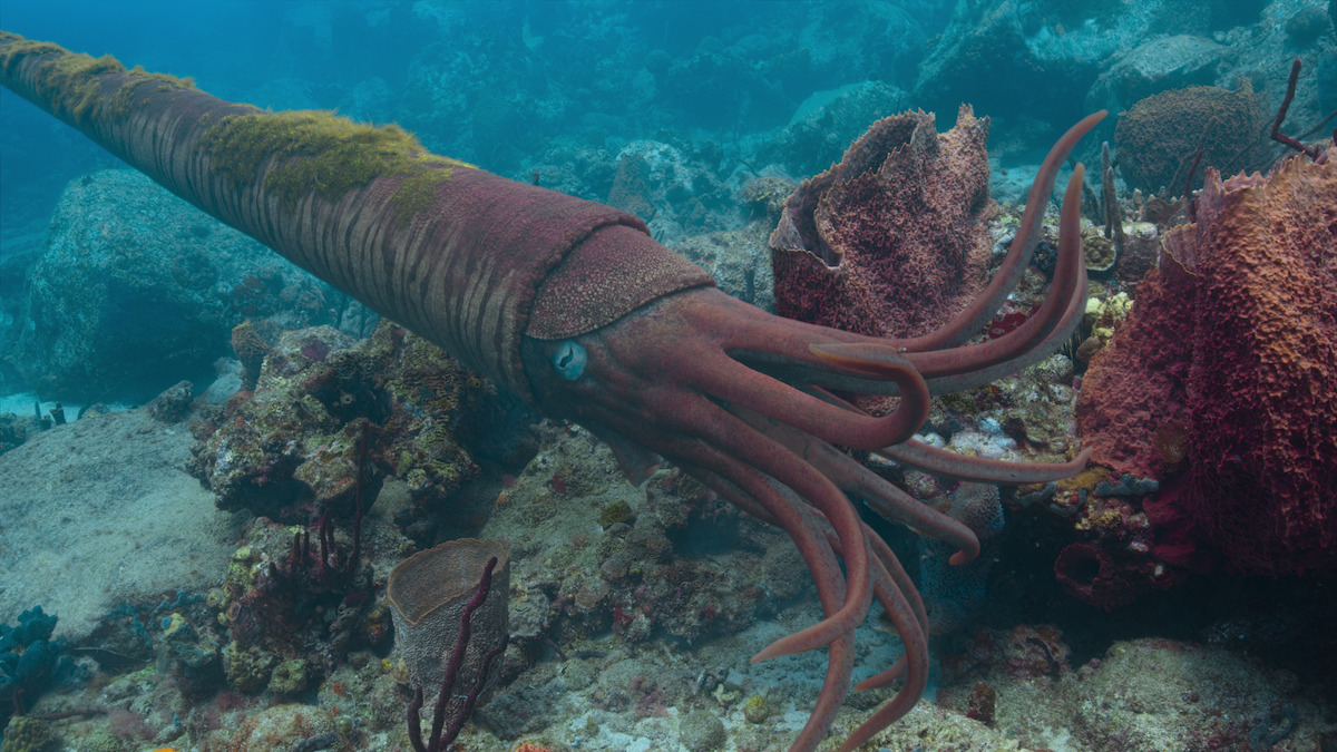 Cameroceras in ‘Life on Our Planet.’
