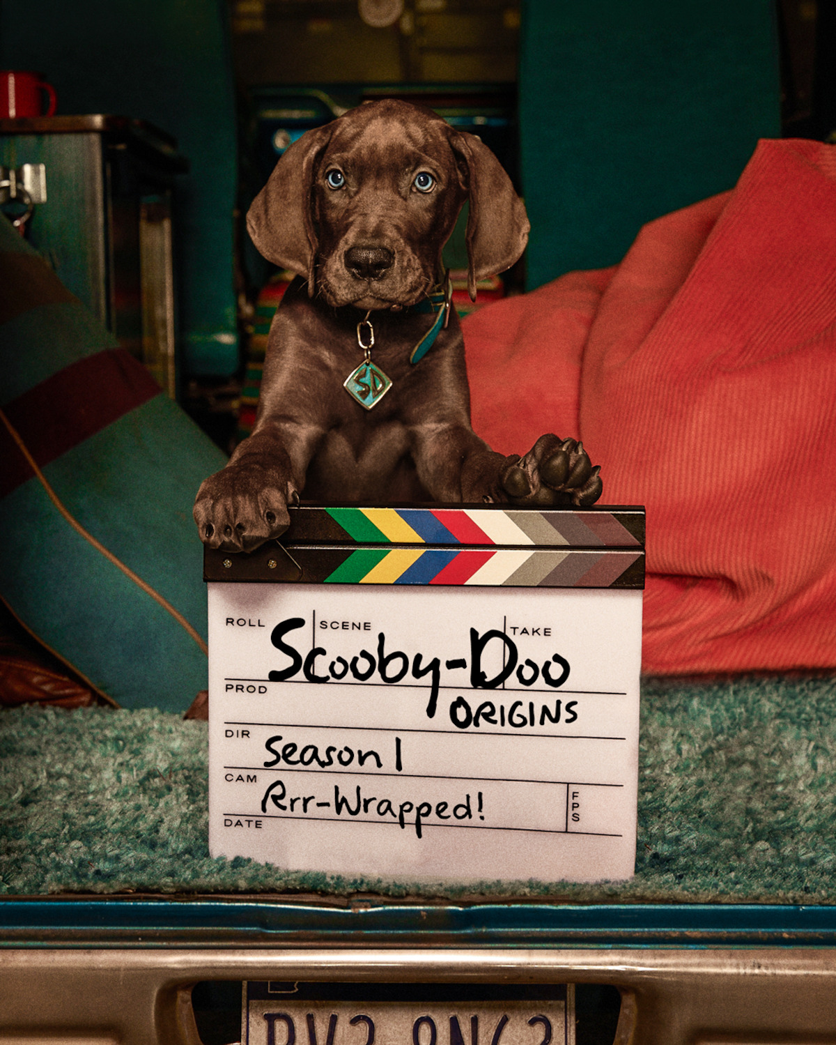 A dog sits in a van set, behind a film clapperboard labeled "Scooby-Doo," with colorful pillows and retro decor in the background, suggesting a behind-the-scenes movie setting.