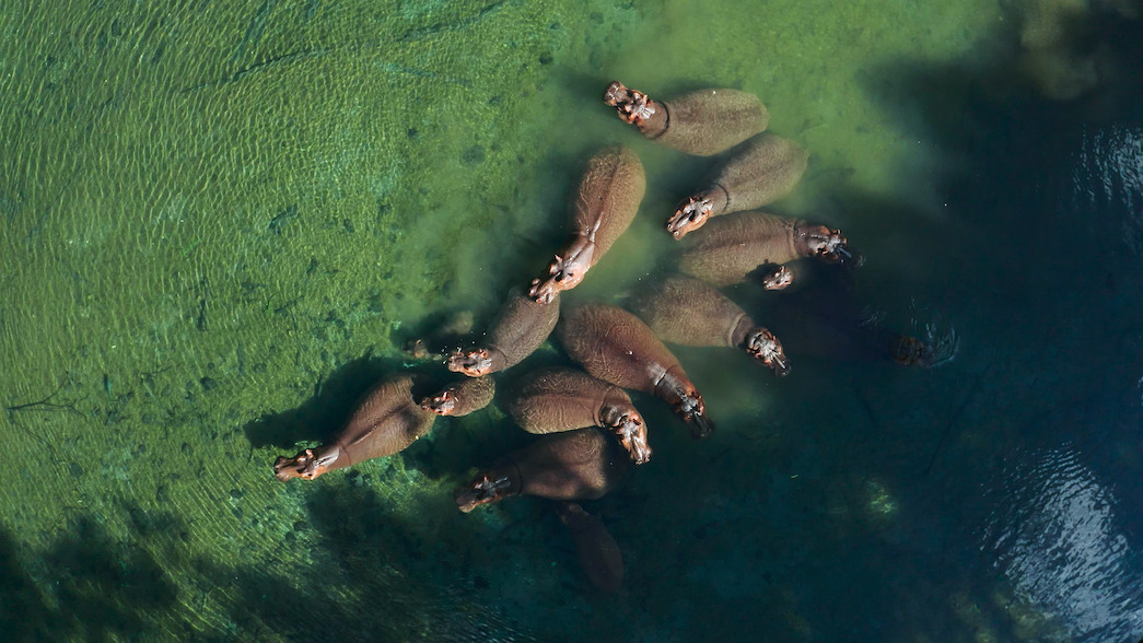 ‘Our Great National Parks’ Has Some Lush and Majestic Locations