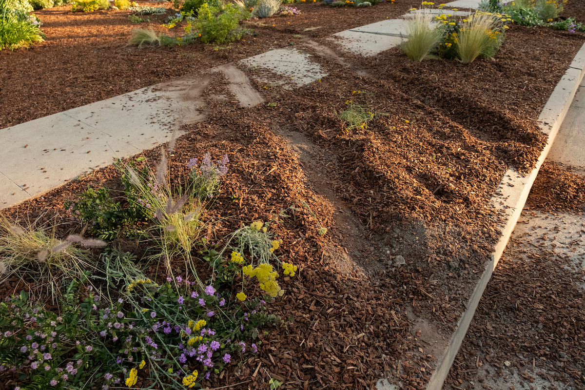 The corner lawn in BEEF Season 1.