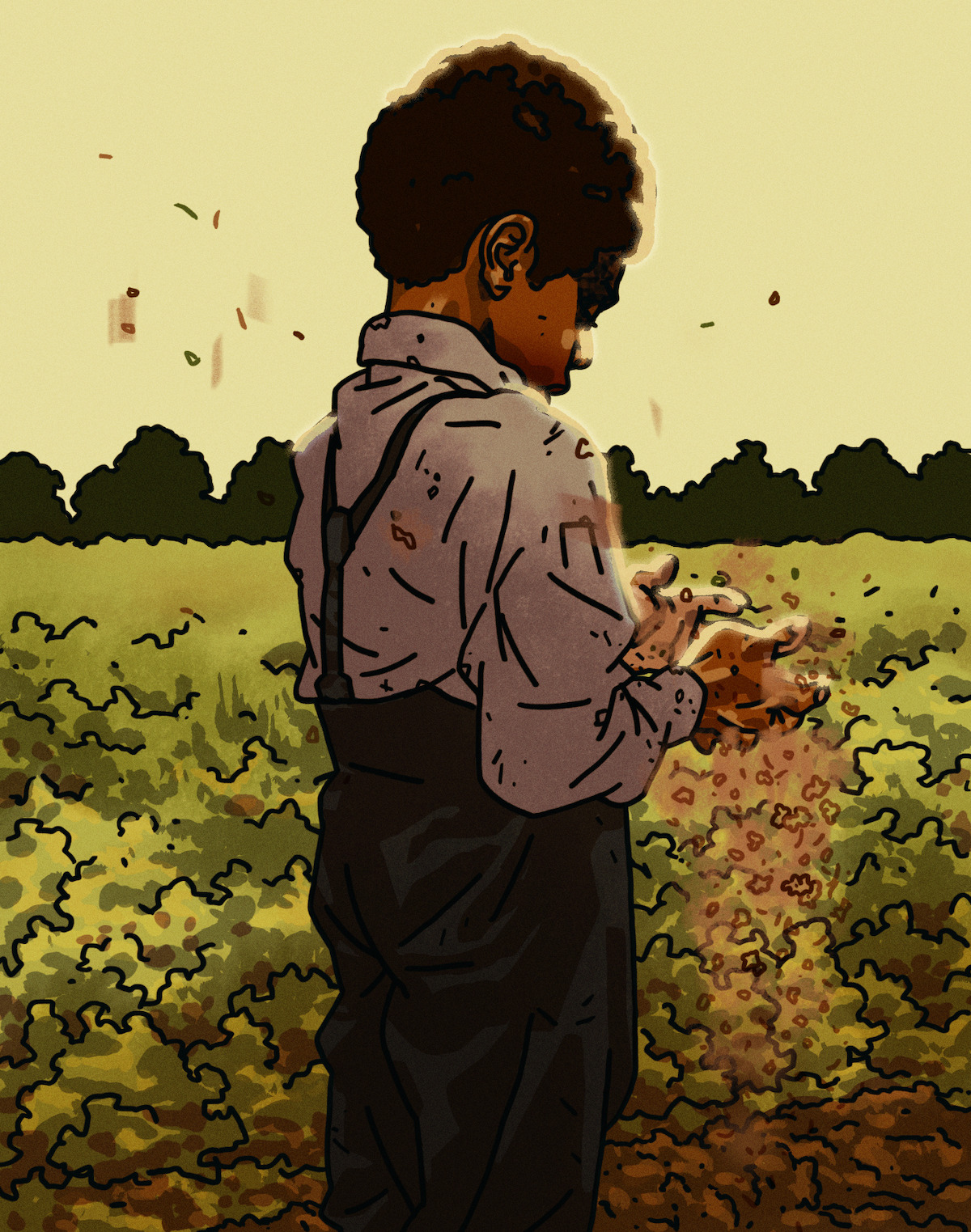 A young Boy Willie scatters seeds in a green field.