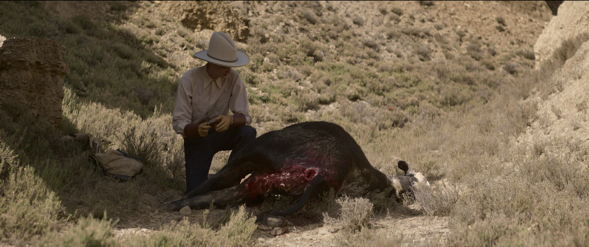 Inline image 5: What Even Is ‘The Power of the Dog’?