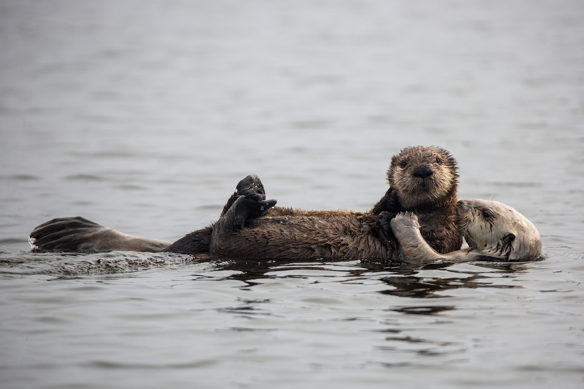 All of the Lush and Majestic Locations in ‘Our Great National Parks’