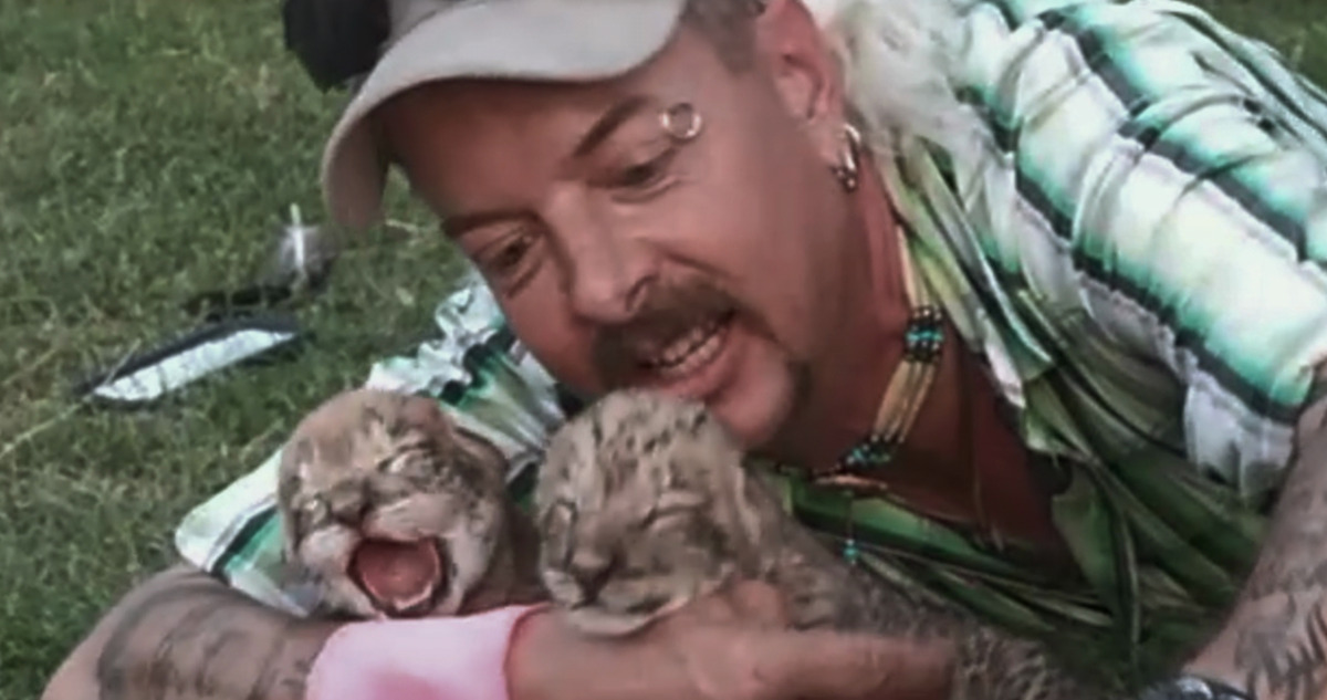 Why Are Some People Addicted to Exotic Animals?