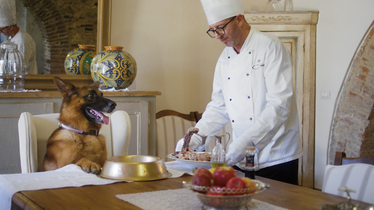 A German Shepherd sits at the head of a dining table being served a rack of lambs by a chef.