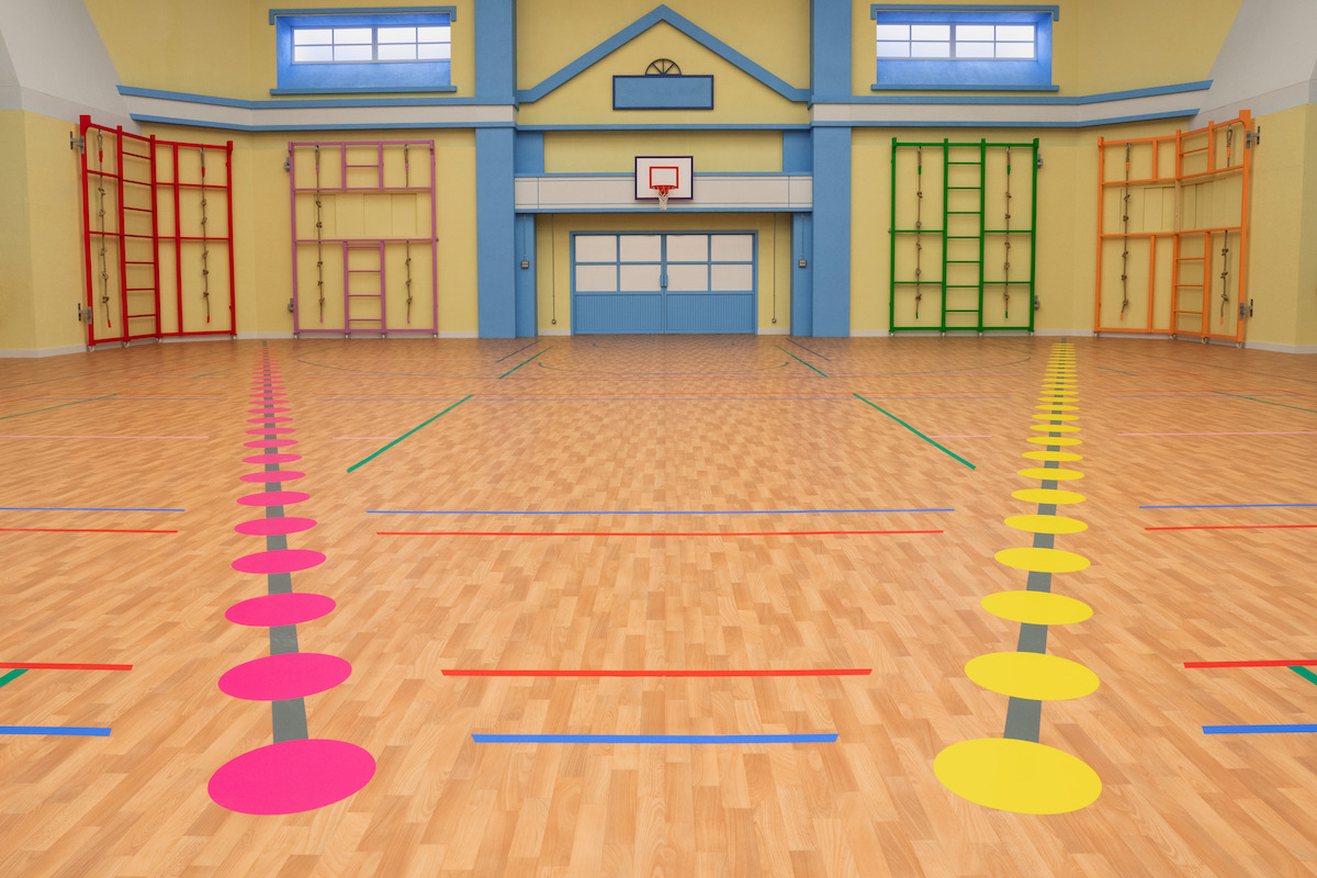 Bright, empty school gymnasium with wooden floor, colorful markings, climbing frames, basketball hoop, and natural light from large windows, creating an inviting and playful atmosphere for physical activities.