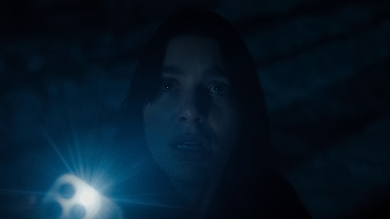 A woman with long hair shines a flashlight in a dark, shadowy environment, looking upward with a concerned expression. The scene is dimly lit and has a mysterious, tense atmosphere.