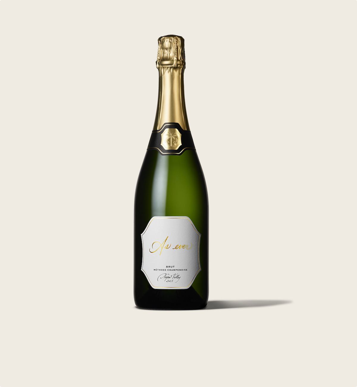 A single bottle of sparkling wine with a gold foil top and white label, standing upright on a light, neutral background, creating a clean and elegant mood.