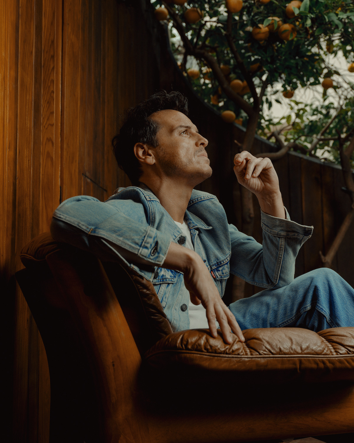 Andrew Scot wears a denim ensemble and looks pensively into some orange trees.