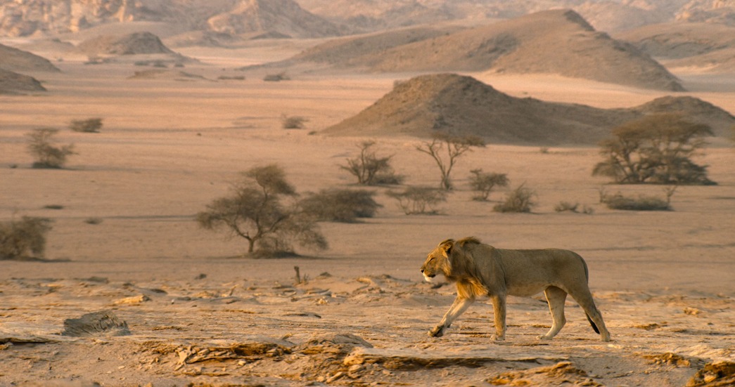 Is 'Our Planet' CGI? Here's How This Nature Documentary Is Actually Made - Netflix Tudum Is 'Our Planet' CGI? Here's How This Nature Documentary Is Actually Made - Netflix Tudum