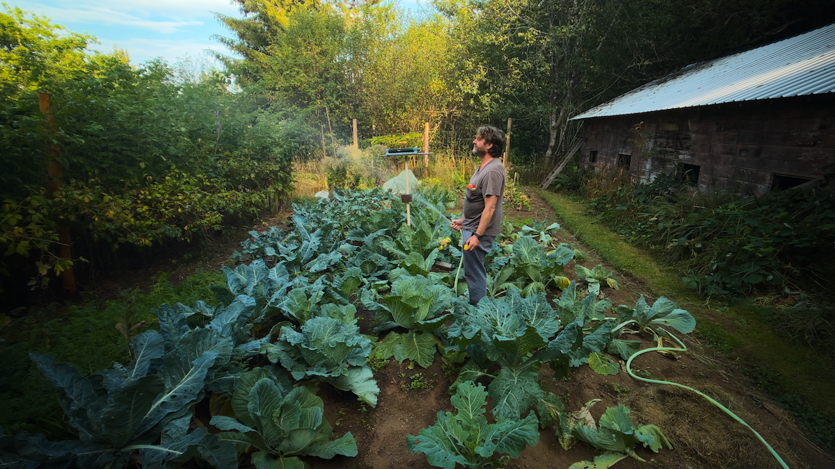Zach Galifianakis waters a garden patch in ‘This Is a Gardening Show.’