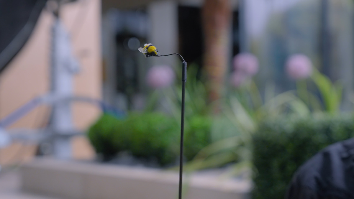 Meet the Puppeteer Who Brought the Tiny Star of ‘Man vs. Bee’ to Life