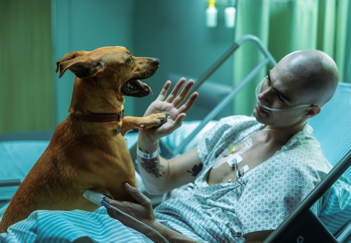 Homem em tratamento oncológico (Rafa Vitti) brinca com um cachorro em cena do filme ‘Caramelo’