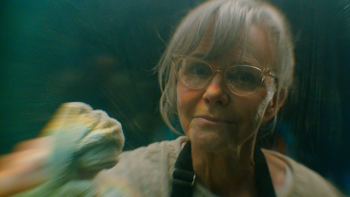 Elderly woman with glasses and gray hair cleaning a glass surface, wearing a light-colored sweater and dark apron, softly lit with a blurred background for a calm, indoor atmosphere.