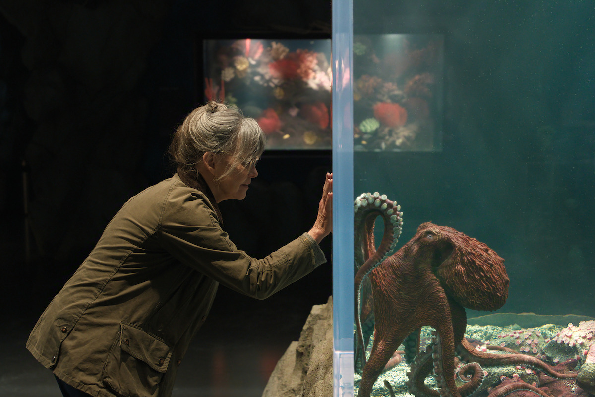 Sally Field as Tova with a green jacket observes a brown octopus through the glass of an aquarium tank in a dimly lit exhibit, with marine life visible in the background display.