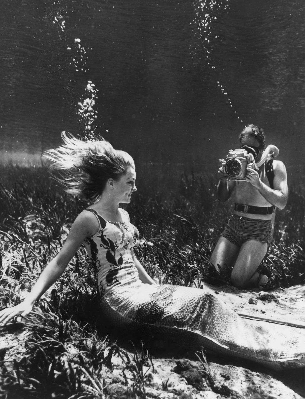 Mermaid Documentary 'MerPeople' Is About The Professional World of ...