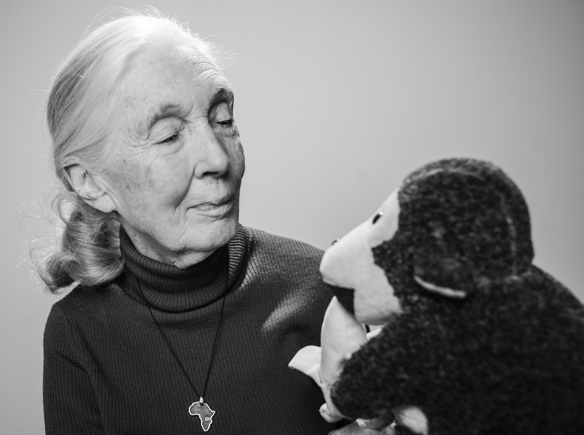Jane Goodall poses with a stuffed chimp.