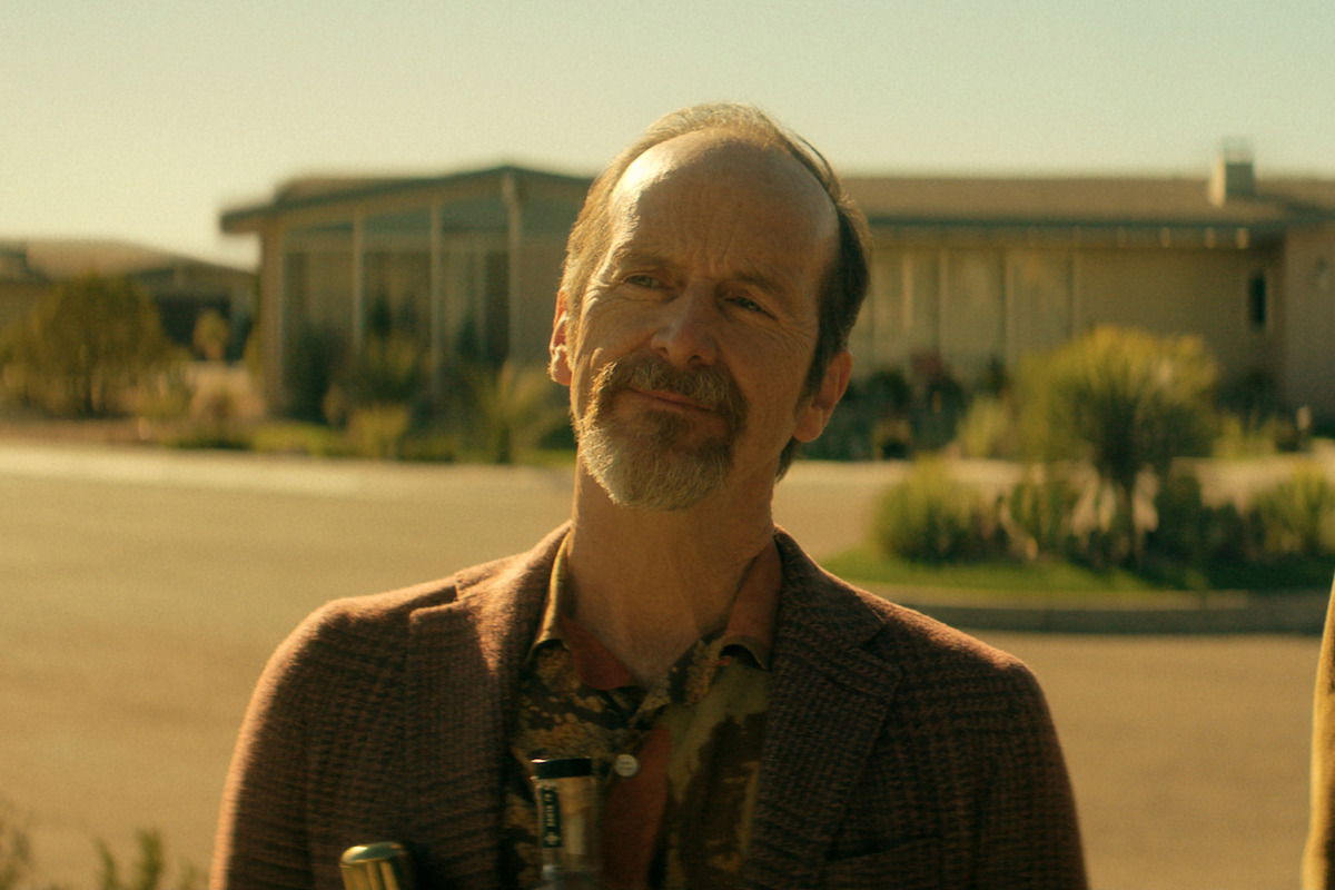 Denis O'Hare as Wally with short hair and beard standing outside in bright sunlight, dressed in a brown jacket, with a suburban or desert residential house and plants visible in the blurred background.