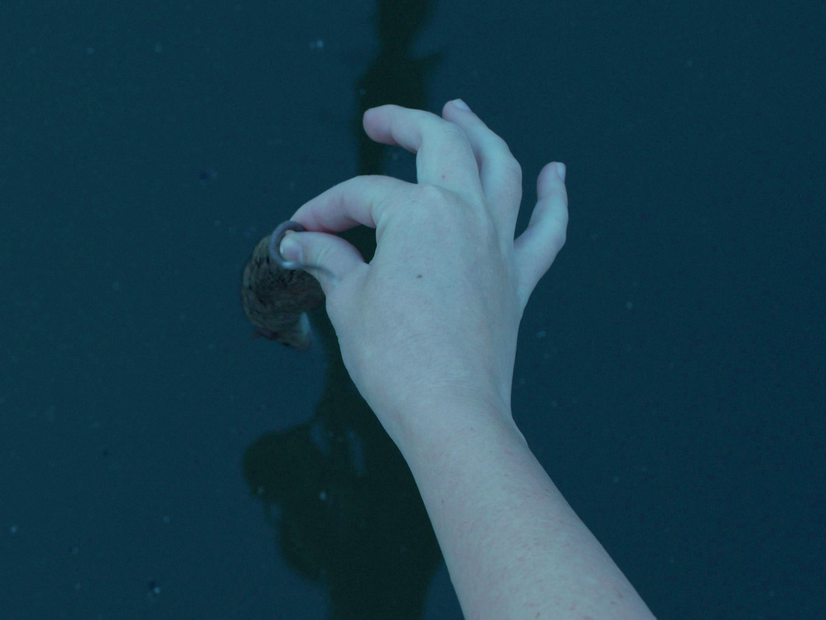 Inline Image:  ‘Ozark' Rebel Ruth Langmore Isn't Afraid of Mice, But Julia Garner Is Inline Image