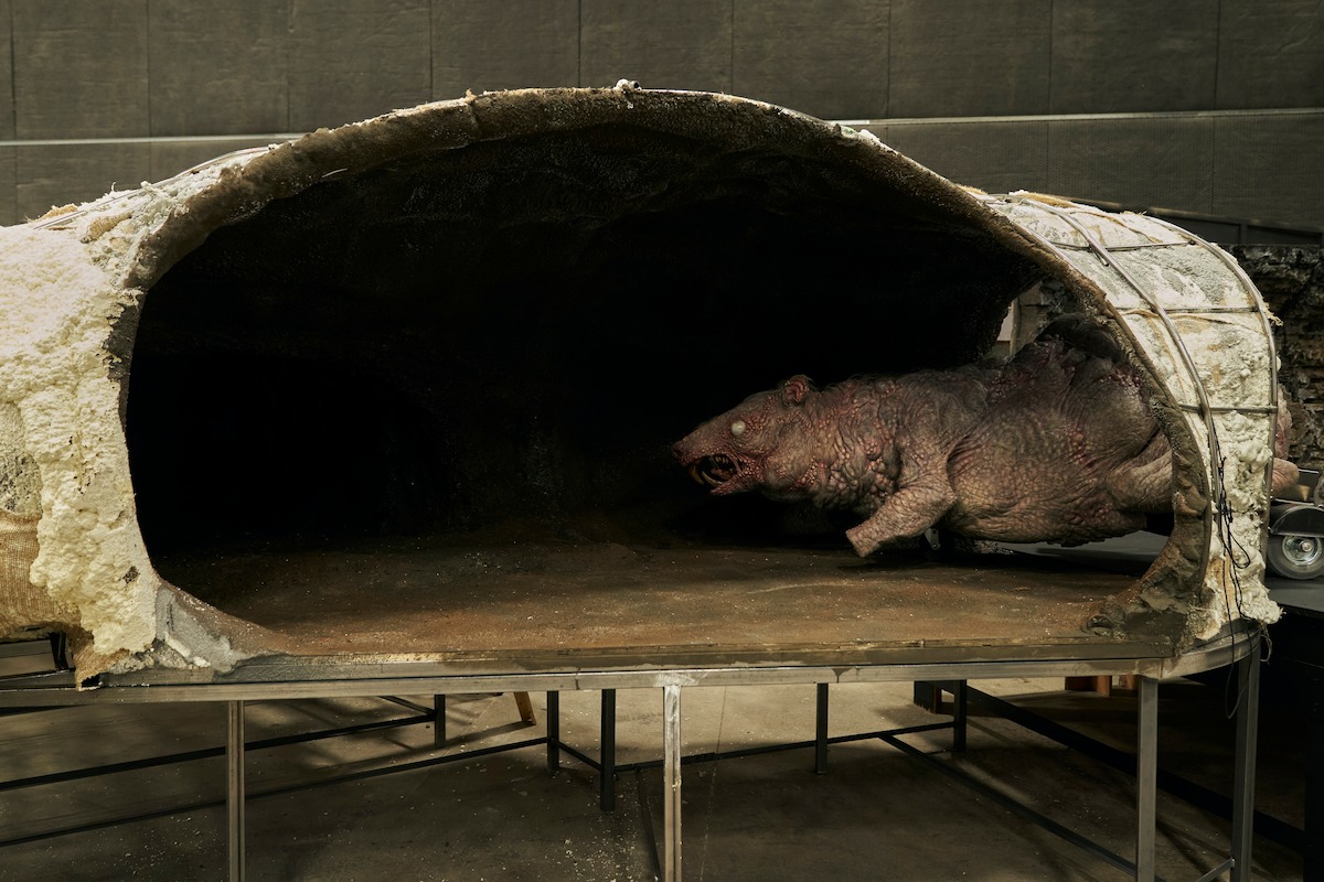 Cabinet of Curiosities Episode 2: ‘Graveyard Rats’ Behind the Scenes ...