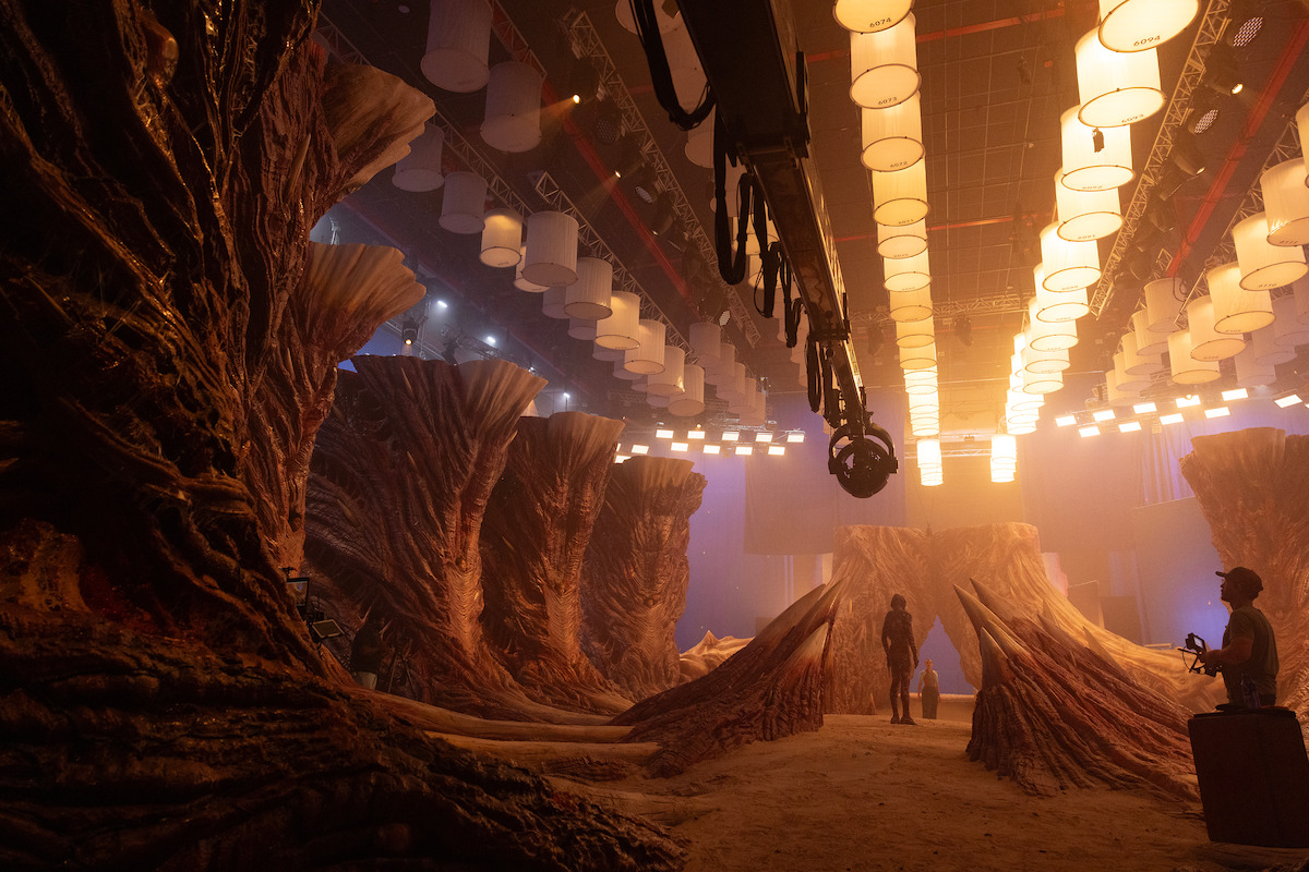 Crew members work among towering, organic-looking set pieces under hanging lights and a massive overhead camera crane.