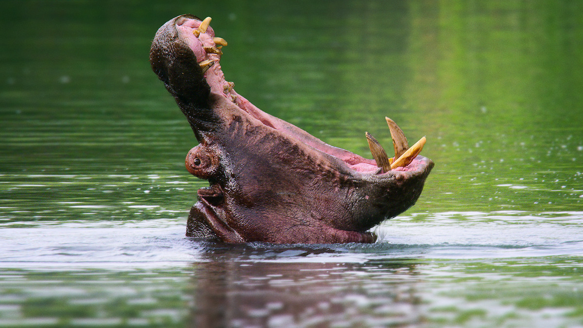 All of the Lush and Majestic Locations in ‘Our Great National Parks’