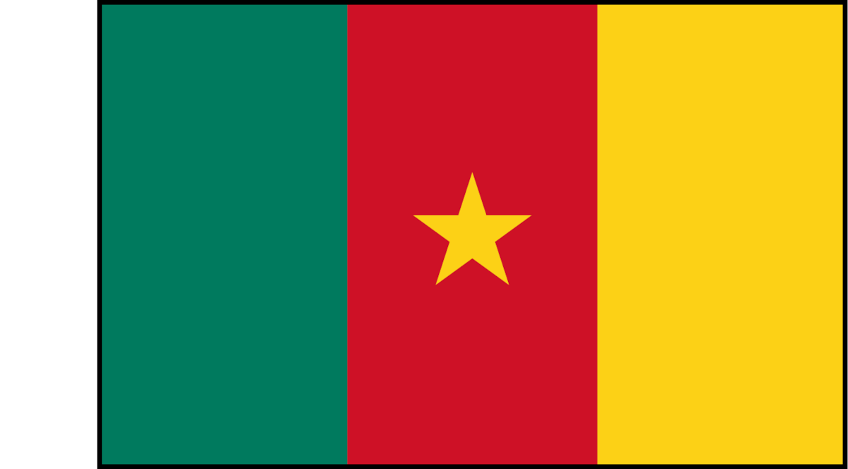 Flag of Cameroon with three vertical stripes of green, red, and yellow, and a yellow star centered on the red stripe. Simple background.