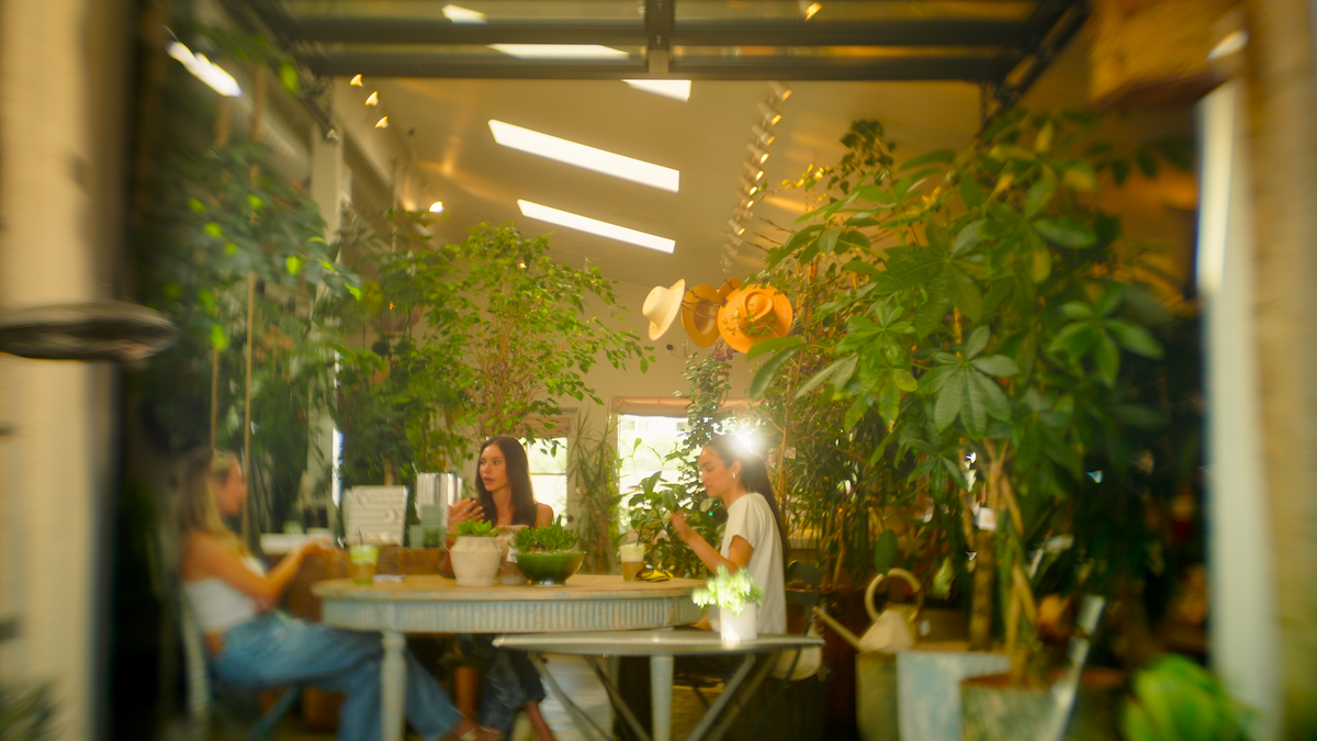 Three women sit around a table in a cozy indoor garden café filled with lush green plants and natural light, enjoying drinks and conversation, with hats hanging on the wall in the background.
