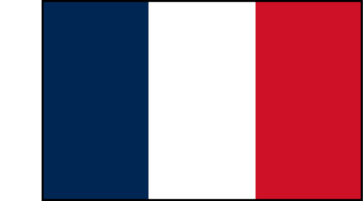 The image shows the national flag of France with three vertical stripes: blue on the left, white in the center, and red on the right.