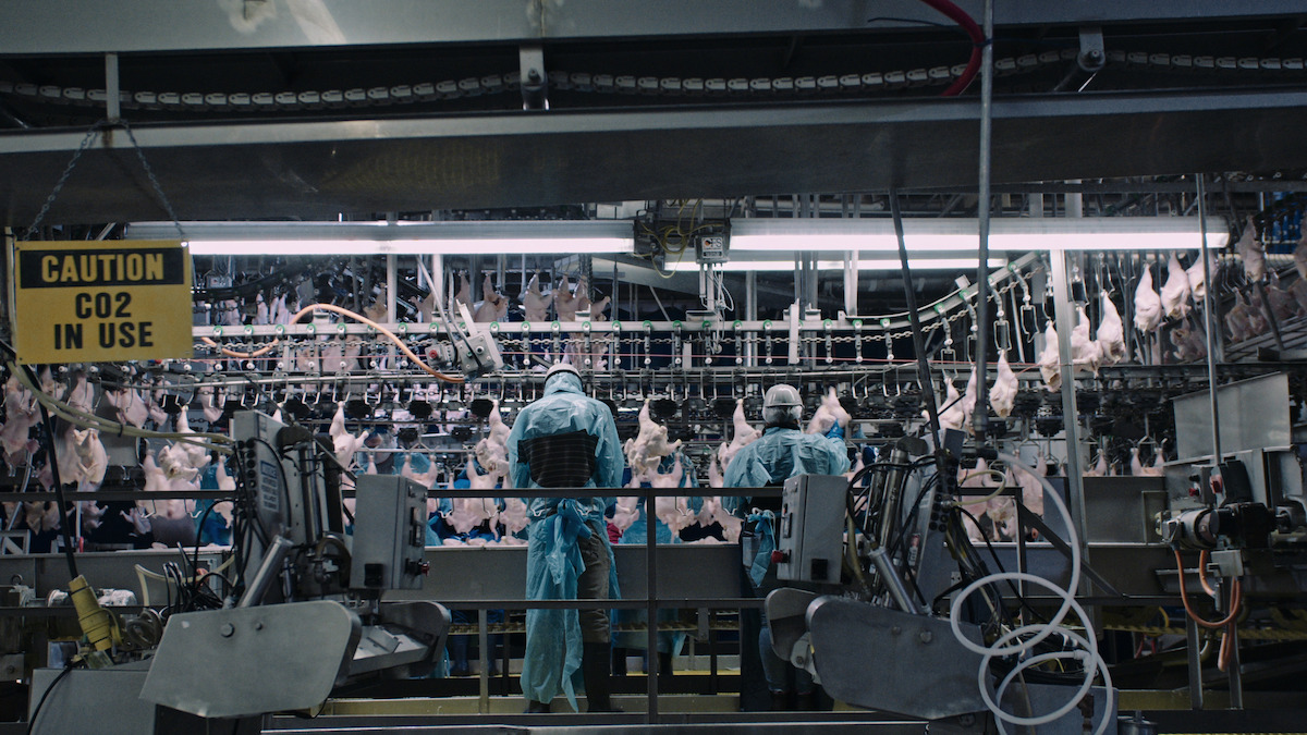 A scene from ‘Poisoned: The Danger in Our Food’