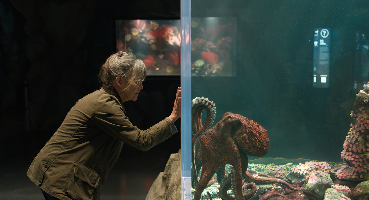 Sally Field as Tova in a green jacket looks through glass at an octopus in a large aquarium, surrounded by rocks and sea life, with dim lighting and a marine exhibit in the background.