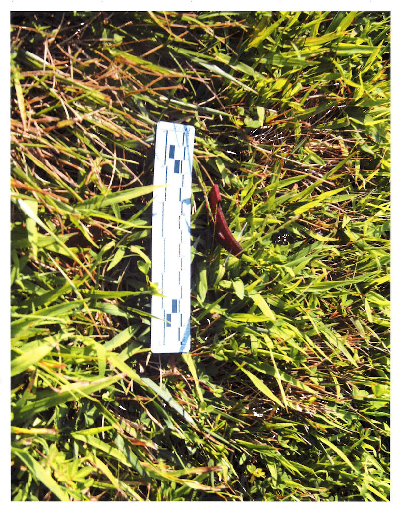 A red iron-on letter A was found near Tiffany’s shoes and headband. It’s unclear whether they are related to her death.  -  ‘Unsolved Mysteries’ Episode 1: Roadside clues