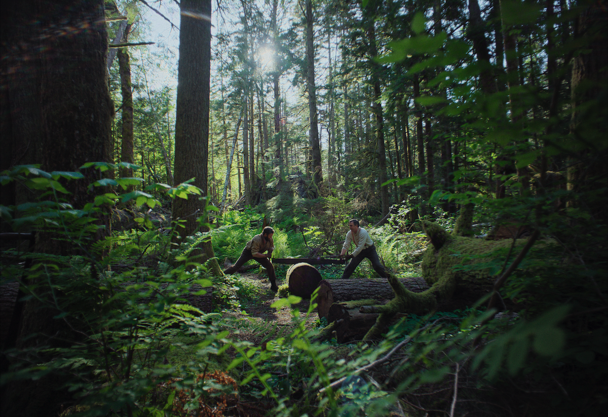Two people cutting a tree in a forest.