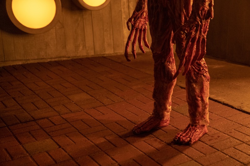 ‘Guillermo del Toro's Cabinet of Curiosities’ Gallery