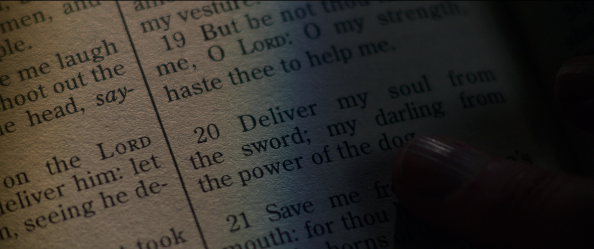 Inline image 6: What Even Is ‘The Power of the Dog’?