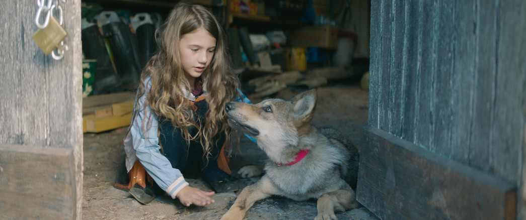 9 Best Dog Movies on Netflix - Netflix Tudum 9 Best Dog Movies on Netflix - Netflix Tudum