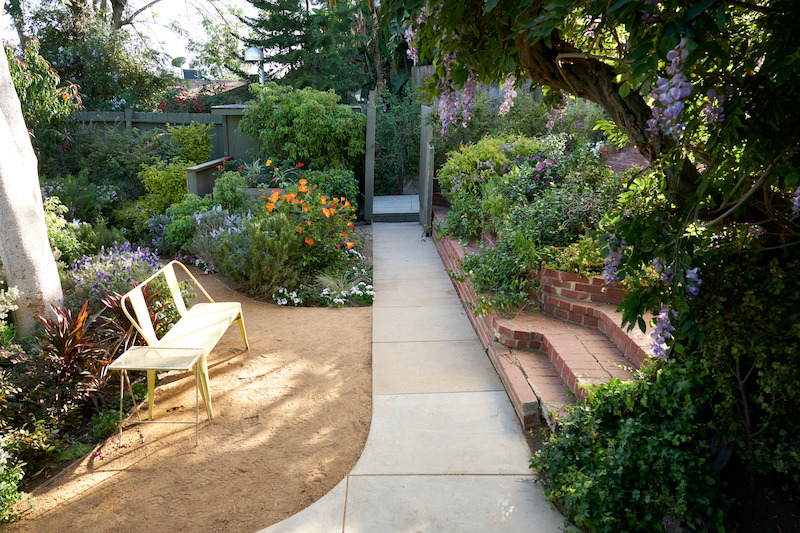Lush garden surrounding a walkway.