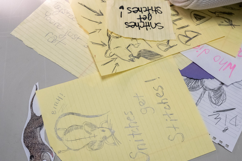 A pile of drawings showing images of rats in Season 7 of Orange Is the New Black. 