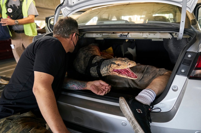 Episode 102 of The Brothers Sun.