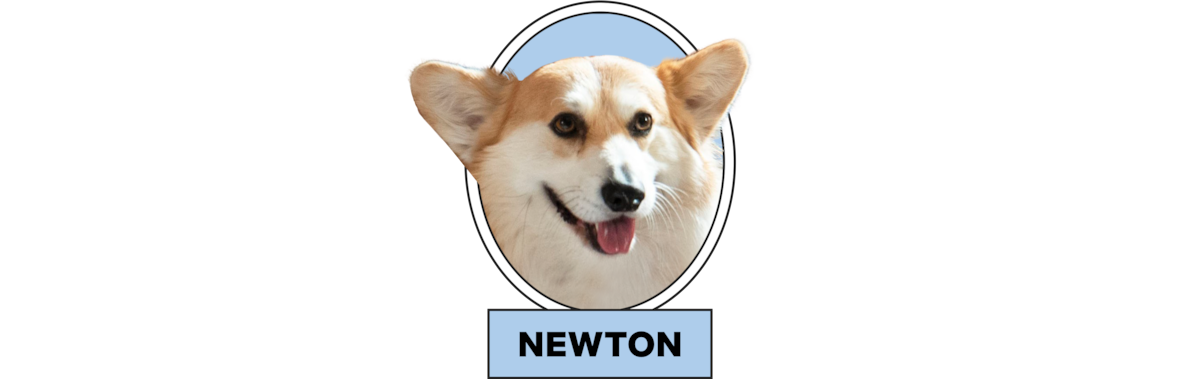 Cãozinho corgi sorridente em uma moldura oval com uma etiqueta azul com a palavra "Newton" abaixo, isolado em um fundo quadriculado transparente.