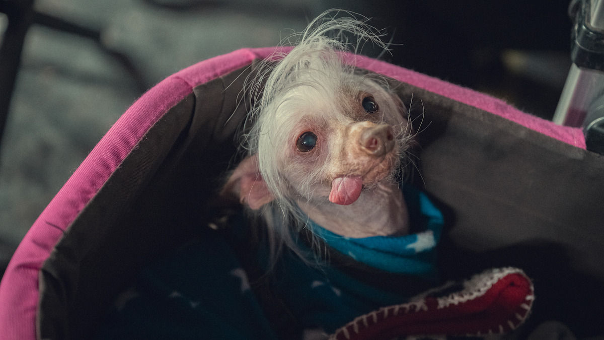 Mia as Astrid in ‘Too Much’