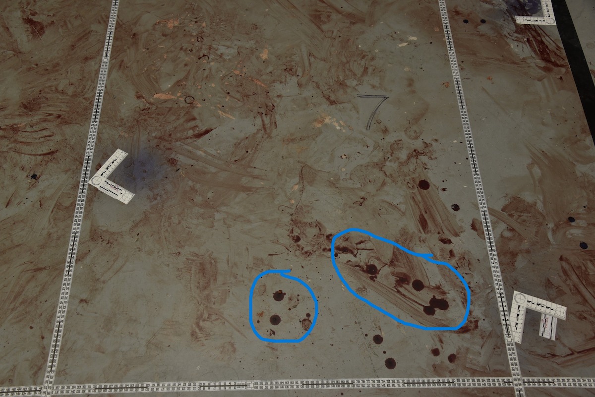 Bloodstains at the crime scene.
