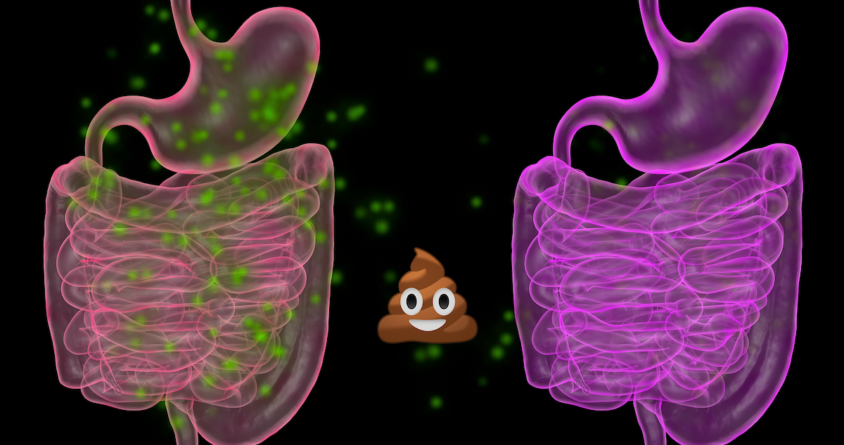 A scene from ‘Hack Your Health: The Secrets of Your Gut’