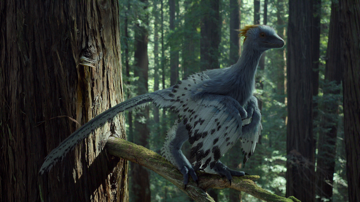 Feathered dinosaur perched on a tree branch in a dense, sunlit forest with tall trees and green foliage, creating a prehistoric and natural setting.