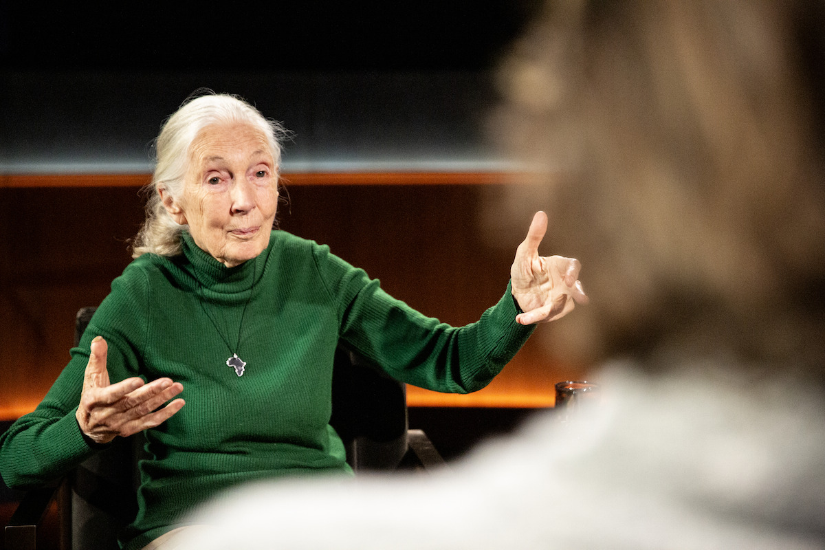 Elderly woman with white hair in a green sweater gestures while speaking during an interview or discussion in an indoor setting with warm lighting, another person visible blurred in the foreground.